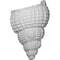 Ekena Millwork 10 1/8"W x 5 1/2"D x 12 1/2"H Sea Shell Wall Sconce SCO10X05X12AS - alternate 1